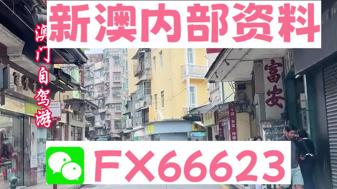 新澳最精准免费资料大全298期,新澳最精准免费资料大全298期，深度解析与前瞻性探讨