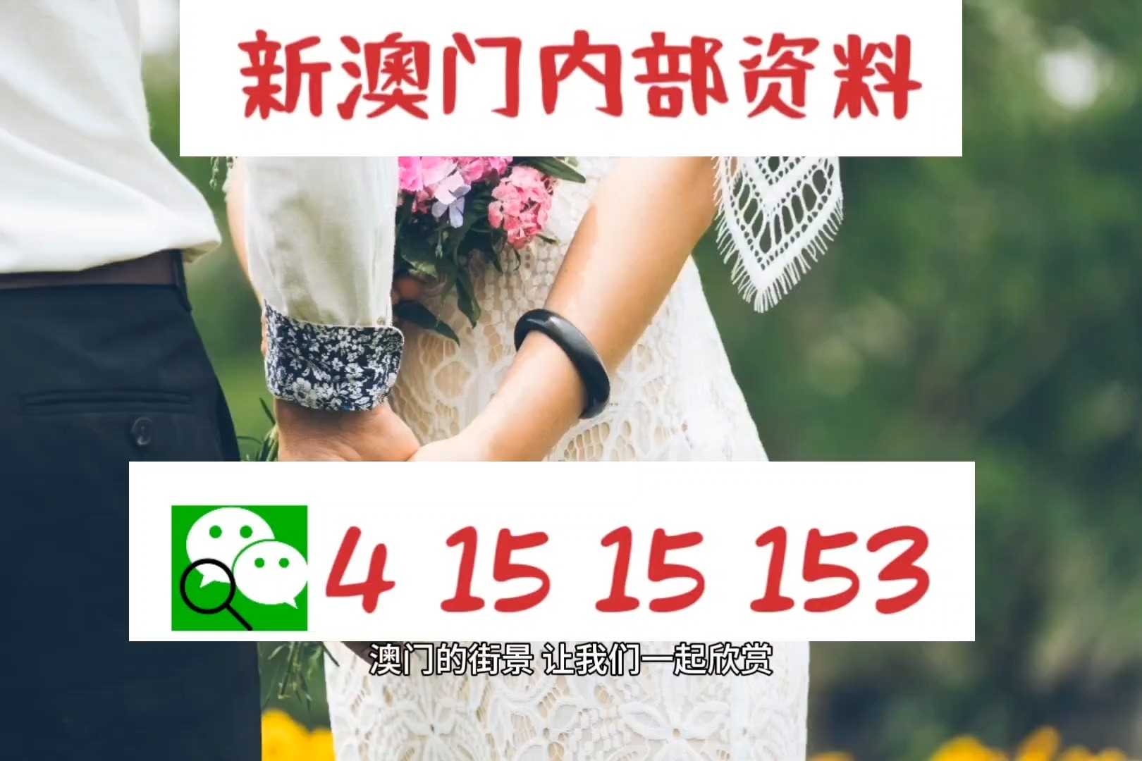 新澳门四肖三肖必开精准,新澳门四肖三肖必开精准之探索与解析
