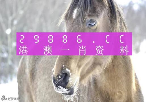 第1234页