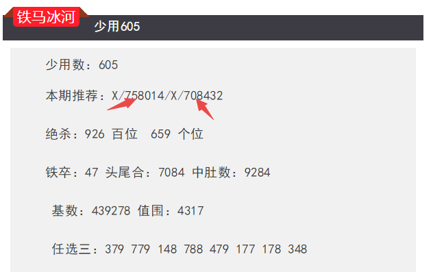 新澳门今晚开特马结果,新澳门今晚开特马结果——探索随机性与命运的交织