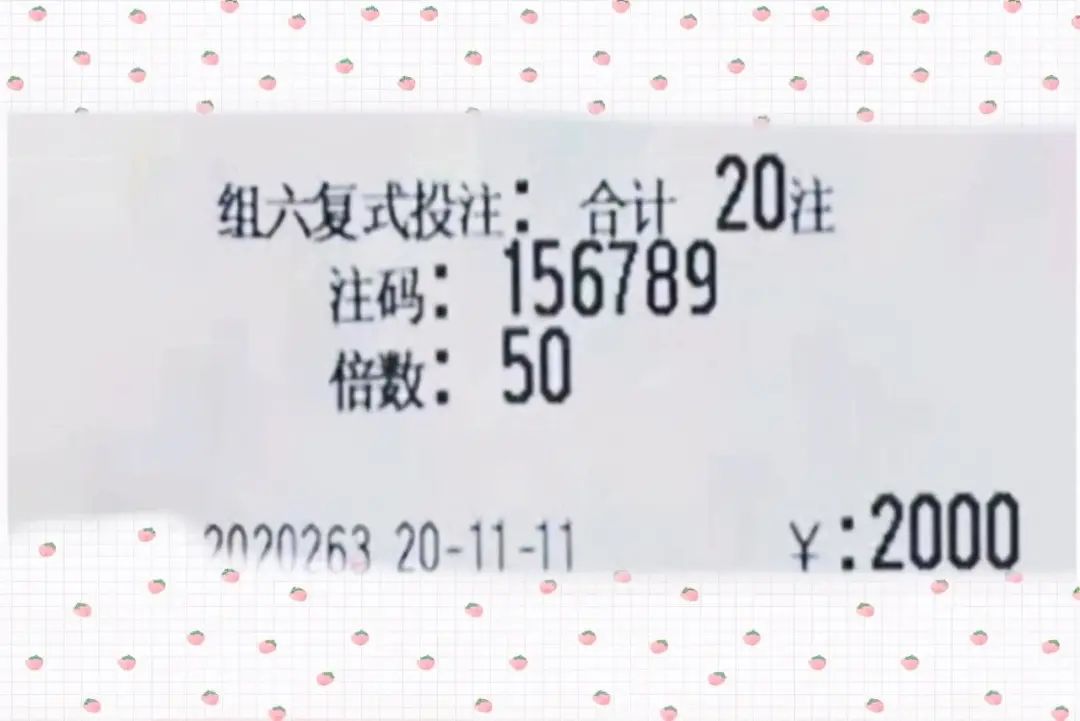2025年新澳门今晚开奖结果2025年,探索未来彩票之路，2025年新澳门今晚开奖结果展望