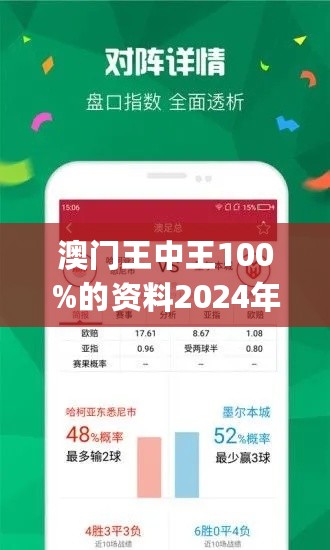 949494王中王内部精选,揭秘王中王内部精选，探寻背后的故事与秘密