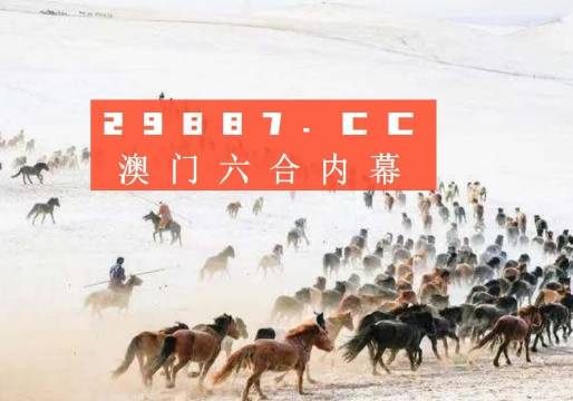 4949澳门特马今晚开奖53期,澳门特马第53期开奖分析——今晚4949的期待与预测