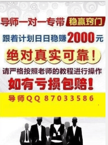 2025天天彩正版免费资料,探索2025天天彩正版免费资料的无限可能