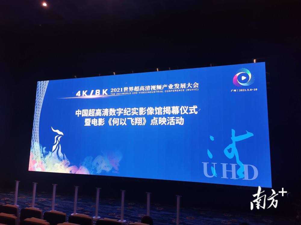 4949澳门彩开奖结果,澳门彩开奖结果，探索数字背后的故事与启示