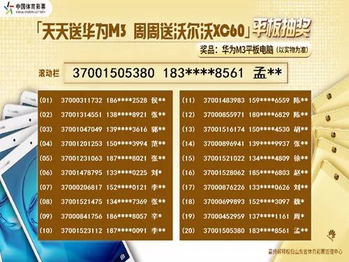 2025年天天彩精准资料,探索未来彩票世界，2025年天天彩精准资料解析